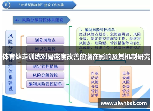 体育健走训练对骨密度改善的潜在影响及其机制研究