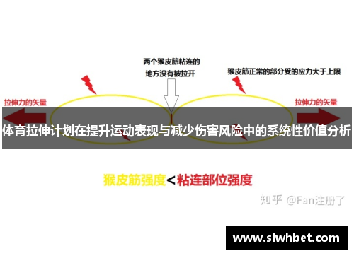 体育拉伸计划在提升运动表现与减少伤害风险中的系统性价值分析